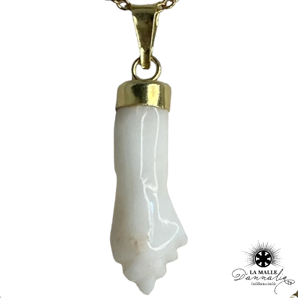 lamalledannalia-Collier-Acier-Pendentif-Main-corail-Blanc-moyenne-Plaque-Or-createur