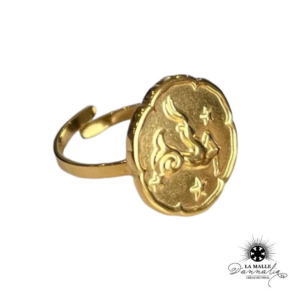 lamalledannalia-bijoux-fantaisie-acierinoxydable-baguedore-astrologie-bagueastro-baguecapricorne