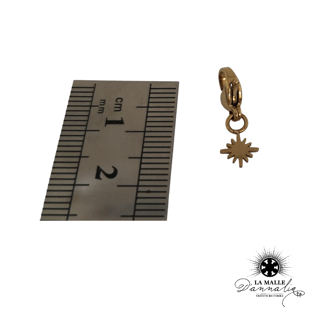 lamalledannalia-charms-etoile-acier-inoxydable-mesure