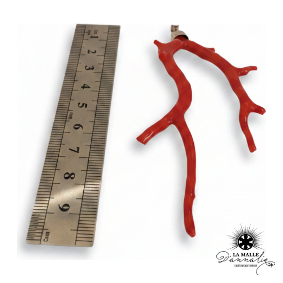 VAIANA : Charm's branche de corail