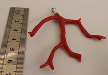 Charger l&#39;image dans la galerie, VAIANA : Charm&#39;s branche de corail